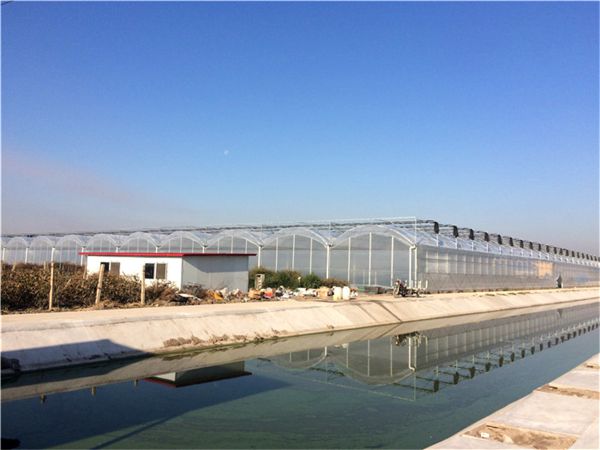 玻璃溫室的通風(fēng)方式有哪幾種